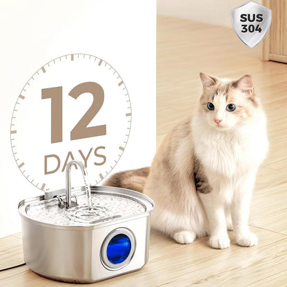 Cat fountain water